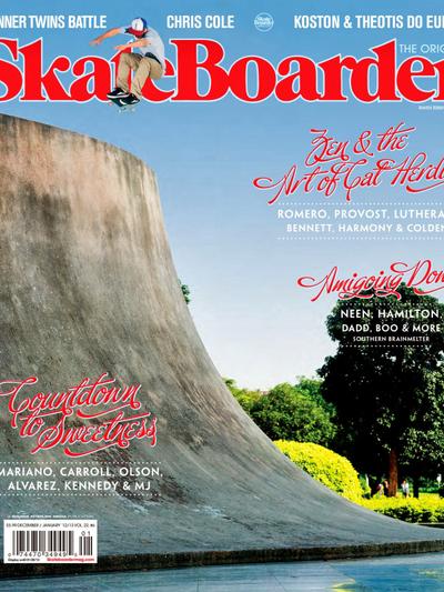 Skateboarder December January 2012