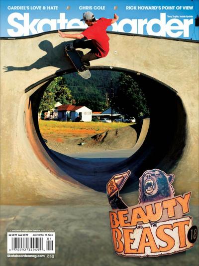 Skateboarder January 2010